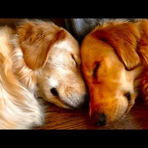 Meet your Posher, Lucas